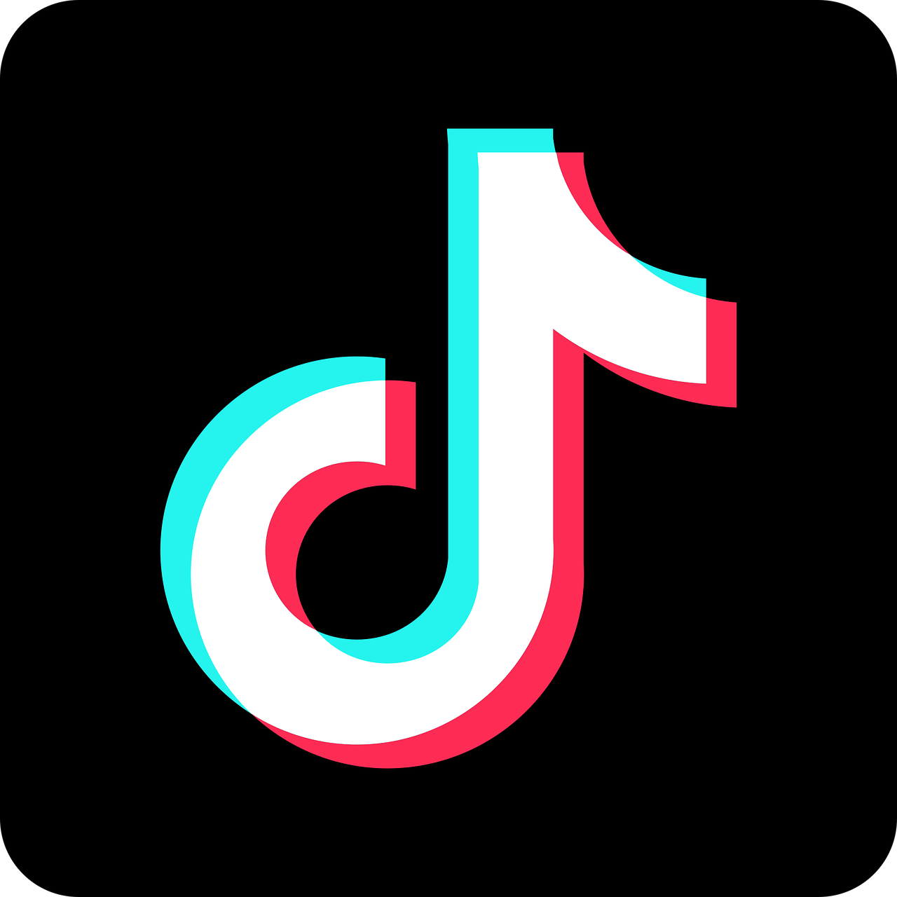 TikTokから若手採用